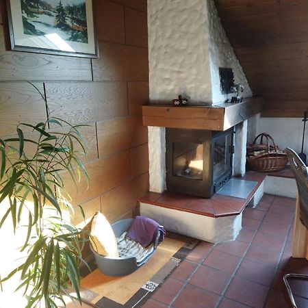 Aussergewöhnliche Atelierfereinwohnung mit Balkon an der Donau Winzer Exterior foto