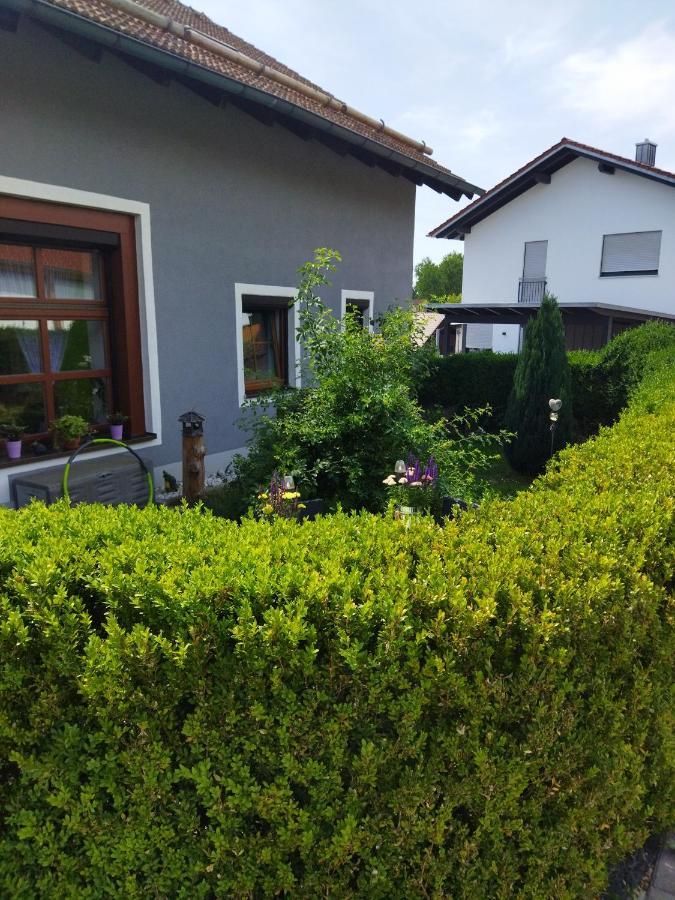 Aussergewöhnliche Atelierfereinwohnung mit Balkon an der Donau Winzer Exterior foto