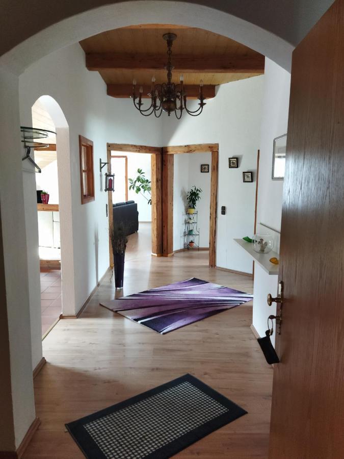 Aussergewöhnliche Atelierfereinwohnung mit Balkon an der Donau Winzer Exterior foto