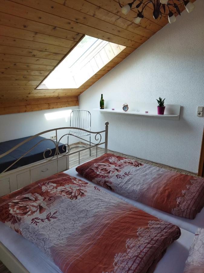 Aussergewöhnliche Atelierfereinwohnung mit Balkon an der Donau Winzer Exterior foto