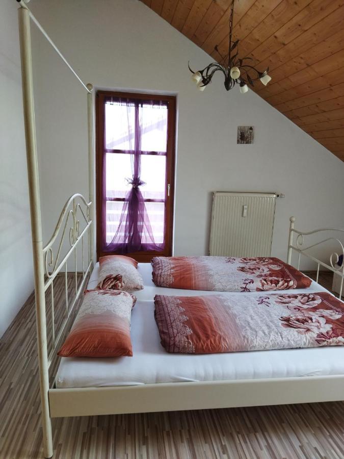 Aussergewöhnliche Atelierfereinwohnung mit Balkon an der Donau Winzer Exterior foto