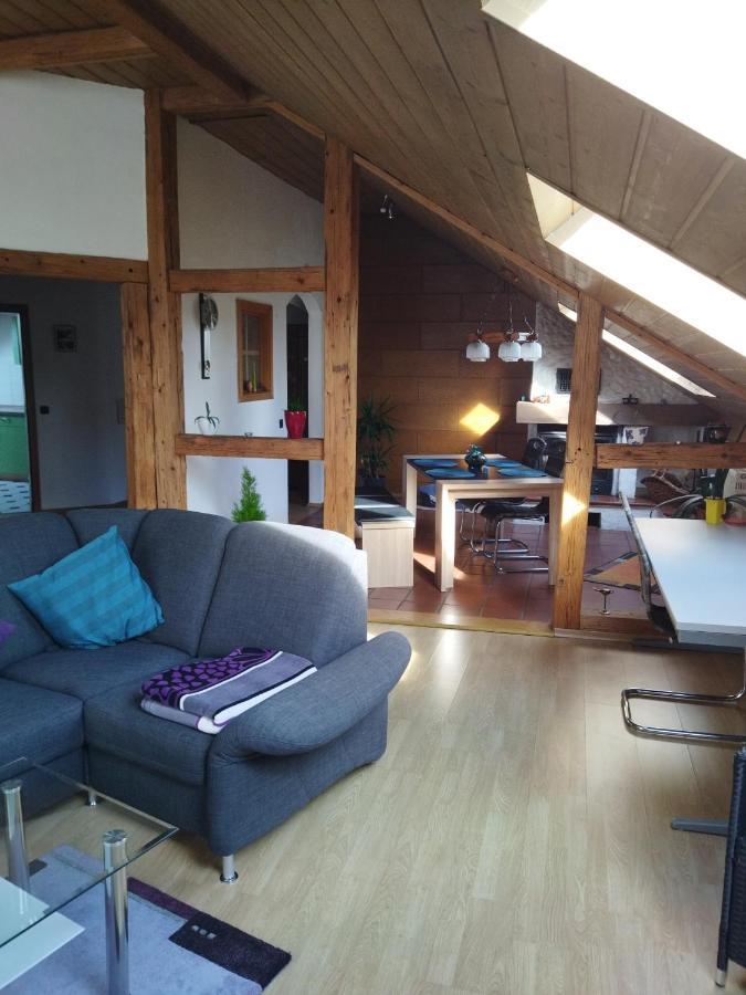 Aussergewöhnliche Atelierfereinwohnung mit Balkon an der Donau Winzer Exterior foto