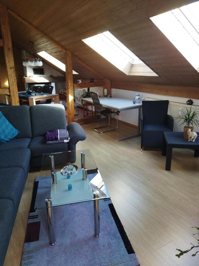 Aussergewöhnliche Atelierfereinwohnung mit Balkon an der Donau Winzer Exterior foto