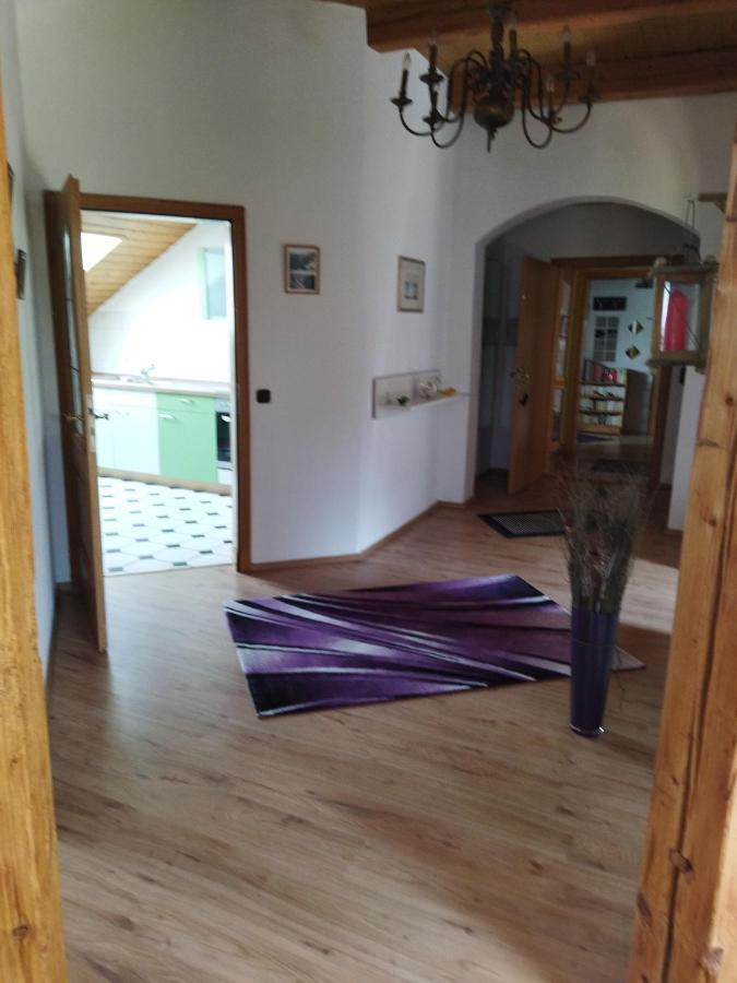 Aussergewöhnliche Atelierfereinwohnung mit Balkon an der Donau Winzer Exterior foto