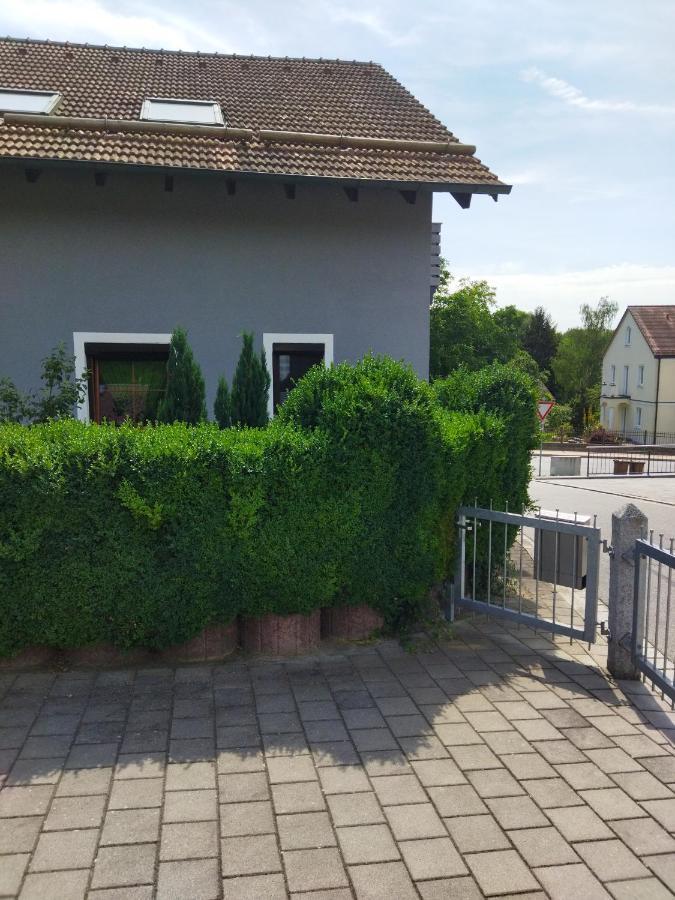 Aussergewöhnliche Atelierfereinwohnung mit Balkon an der Donau Winzer Exterior foto