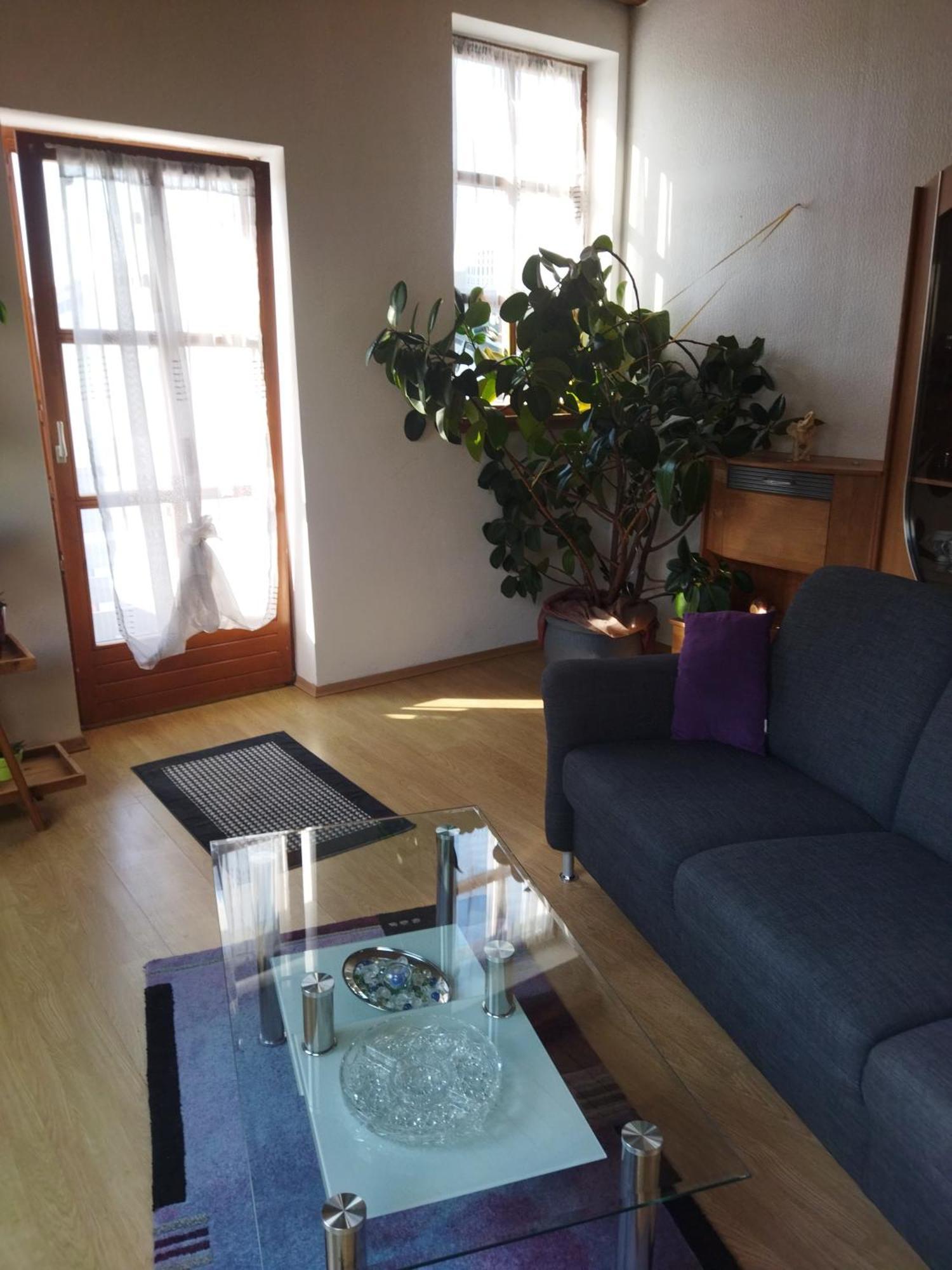 Aussergewöhnliche Atelierfereinwohnung mit Balkon an der Donau Winzer Exterior foto