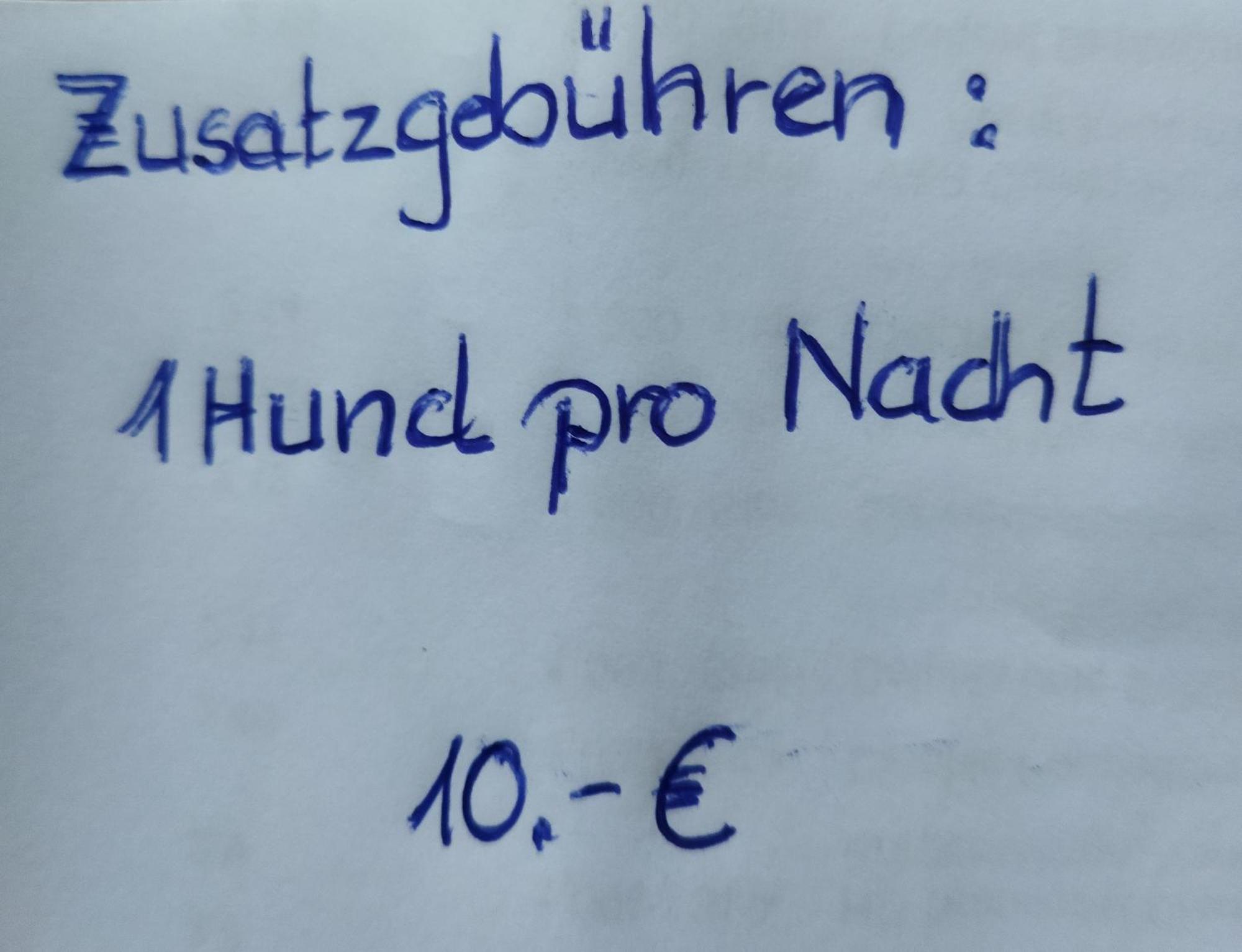 Aussergewöhnliche Atelierfereinwohnung mit Balkon an der Donau Winzer Exterior foto